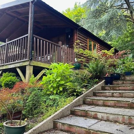 Woodland Views Lodge Blandford Forum Exterior photo