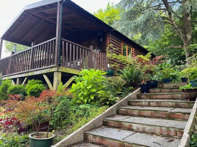 Woodland Views Lodge Blandford Forum Exterior photo