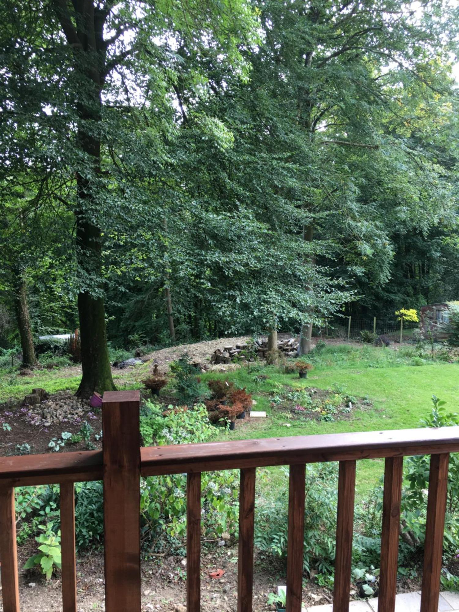Woodland Views Lodge Blandford Forum Exterior photo